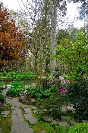 Spring in the Japanese Garden - Department of Montevideo - URUGUAY. Photo #83964