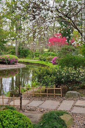 Spring in the Japanese Garden - Department of Montevideo - URUGUAY. Photo #83930