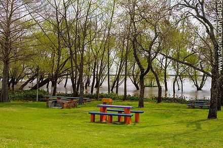 Park in front of the swollen river - Rio Negro - URUGUAY. Photo #84035