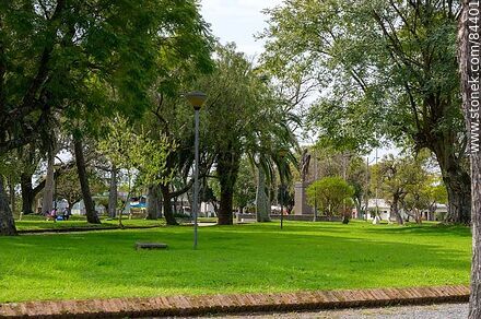 Plaza San Javier - Departamento de Río Negro - URUGUAY. Foto No. 84401