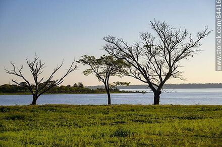 Park in front of the coast of the Uruguay River - Department of Salto - URUGUAY. Photo #84416