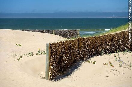 Protectores de dunas en las arenas de la playa Brava - Punta del Este y balnearios cercanos - URUGUAY. Foto No. 84865