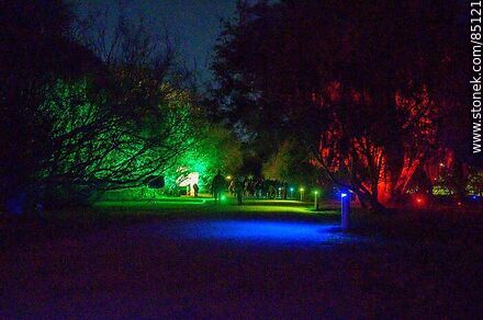 Artificially illuminated vegetation on the roadside - Department of Montevideo - URUGUAY. Photo #85121