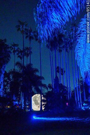 Full moon among the trees - Department of Montevideo - URUGUAY. Photo #85141