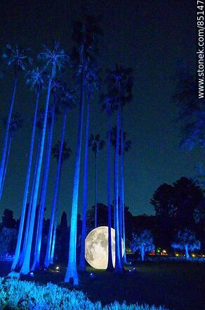 Luna llena entre los árboles - Departamento de Montevideo - URUGUAY. Foto No. 85147