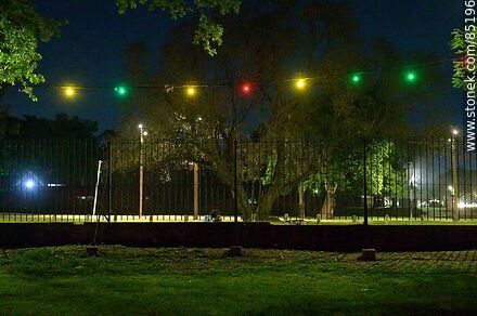 The Garden at night - Department of Montevideo - URUGUAY. Photo #85196