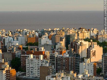 Aerial view of Pocitos buildings at sunset against the background of the Rio de la Plata - Department of Montevideo - URUGUAY. Photo #85368