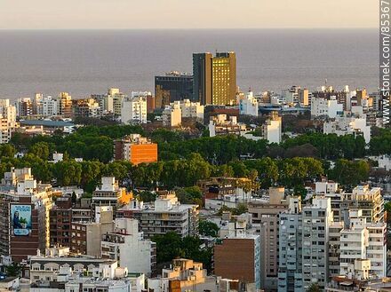 Aerial view of Pocitos buildings at sunset against the background of the Rio de la Plata - Department of Montevideo - URUGUAY. Photo #85367