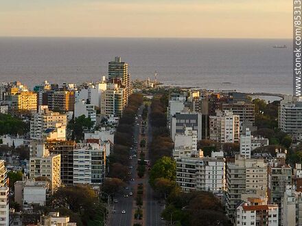 Vista aérea de Bulevar Artigas al atardecer - Department of Montevideo - URUGUAY. Photo #85313