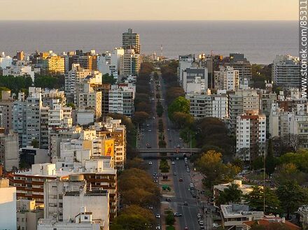 Aerial view of Bulevar Artigas at sunset - Department of Montevideo - URUGUAY. Photo #85311