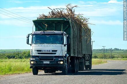 Camión con carga de caña de azúcar que se dirige a la planta de ALUR o CALNU - Departamento de Artigas - URUGUAY. Foto No. 85487