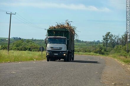 Truck loaded with sugarcane heading to ALUR or CALNU plant - Artigas - URUGUAY. Photo #85486