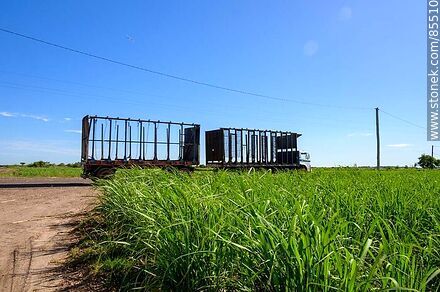 Plantación de caña de azúcar. Camión que regresa de dejar su carga en ALUR - CALNU - Departamento de Artigas - URUGUAY. Foto No. 85510