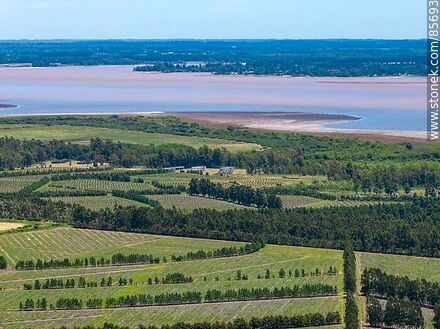 Vista aérea de El Espinillar frente al río Uruguay - Departamento de Salto - URUGUAY. Foto No. 85693