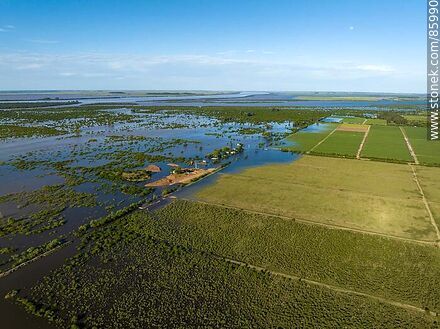 Vista aérea de calles y plantaciones inundadas por la creciente del río Cuareim - Departamento de Artigas - URUGUAY. Foto No. 85990