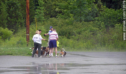 Paseando a los perros - Estado de Nueva Jersey - EE.UU.-CANADÁ. Foto No. 12679