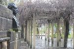 Busto a José Enrique Rodó - Foto #40400