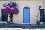 Típico frente de casa con puerta y farol coloniales adornada con una Santa Rita fucsia - Foto #87622