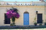 Típico frente de casa con puerta y farol coloniales adornada con una Santa Rita fucsia - Foto #87643