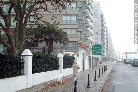  - Department of Montevideo - URUGUAY. Photo #9526