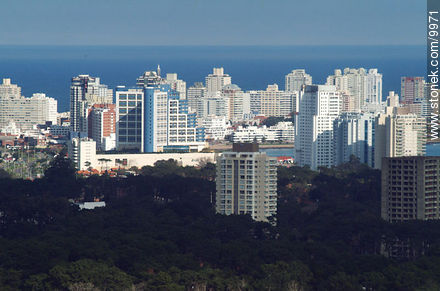  - Punta del Este and its near resorts - URUGUAY. Photo #9971