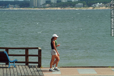  - Punta del Este and its near resorts - URUGUAY. Photo #13125