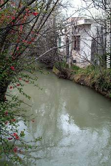 River channels in Gaiman City - Province of Chubut - ARGENTINA. Photo #5618