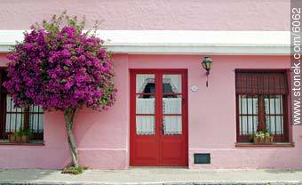  - Department of Colonia - URUGUAY. Photo #6062