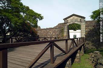  - Department of Colonia - URUGUAY. Photo #6136