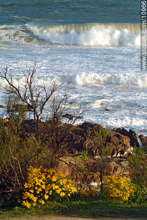  - Punta del Este and its near resorts - URUGUAY. Photo #10966