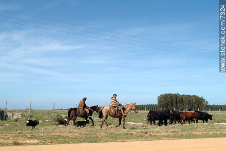  -  - URUGUAY. Photo #7324