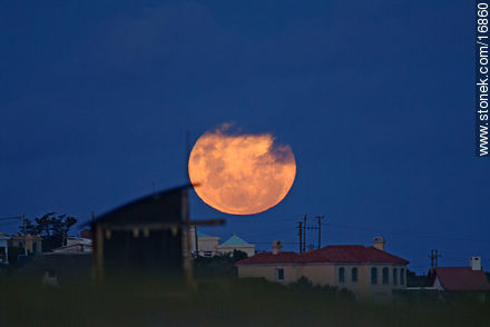 February full moon - Punta del Este and its near resorts - URUGUAY. Photo #16860