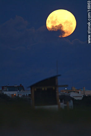  - Punta del Este y balnearios cercanos - URUGUAY. Foto No. 16863