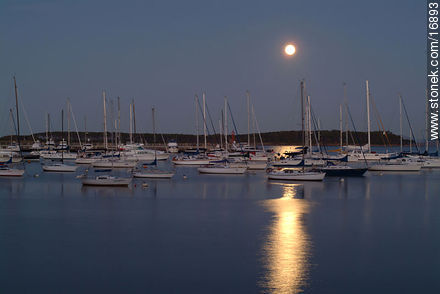  - Punta del Este y balnearios cercanos - URUGUAY. Foto No. 16893