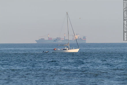  - Punta del Este y balnearios cercanos - URUGUAY. Foto No. 17002