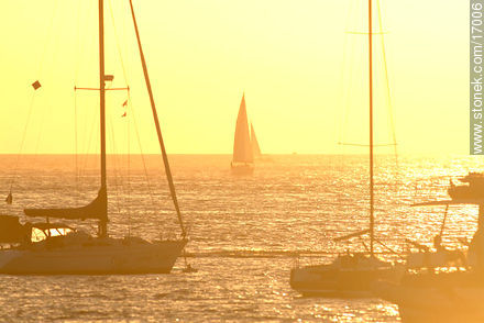  - Punta del Este y balnearios cercanos - URUGUAY. Foto No. 17006