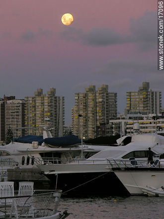  - Punta del Este and its near resorts - URUGUAY. Photo #17096