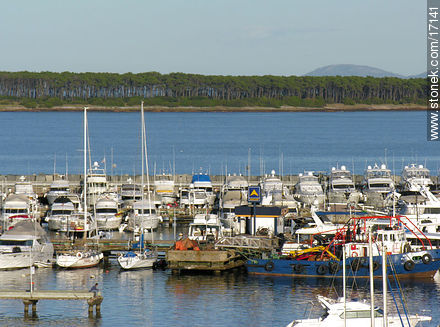  - Punta del Este and its near resorts - URUGUAY. Photo #17141