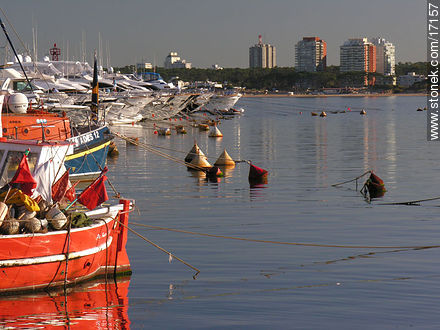  - Punta del Este y balnearios cercanos - URUGUAY. Foto No. 17157