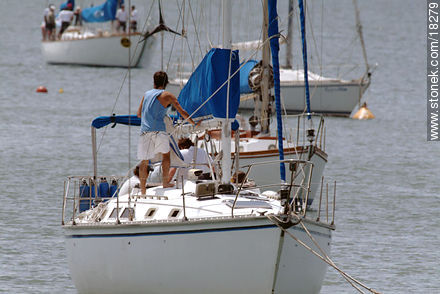  - Punta del Este y balnearios cercanos - URUGUAY. Foto No. 18279