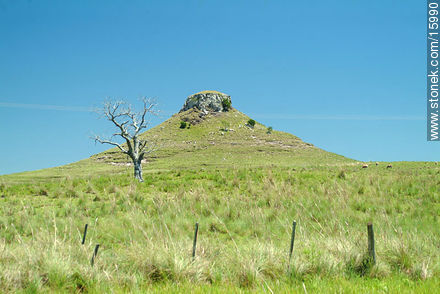  - Tacuarembo - URUGUAY. Photo #15990