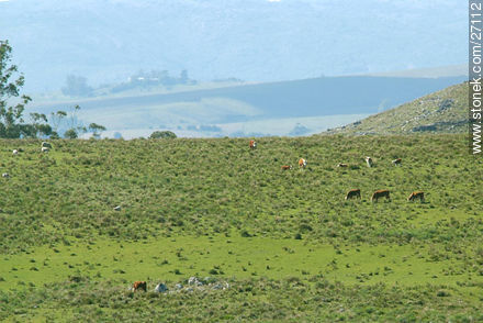 Campo traviesa - Departamento de Lavalleja - URUGUAY. Foto No. 27112