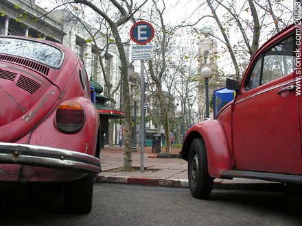  - Department of Montevideo - URUGUAY. Photo #26558