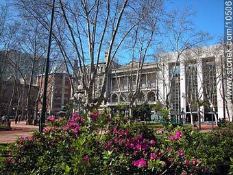 Plaza Constitución - Department of Montevideo - URUGUAY. Photo #10506
