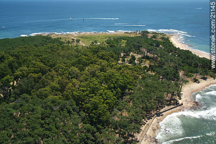  - Punta del Este and its near resorts - URUGUAY. Photo #21145
