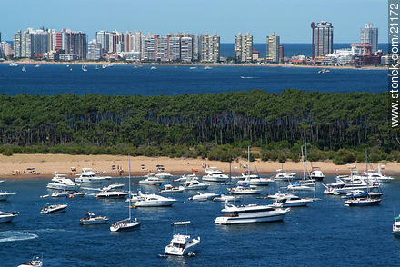  - Punta del Este and its near resorts - URUGUAY. Photo #21172