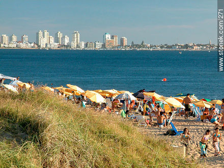  - Punta del Este and its near resorts - URUGUAY. Photo #271