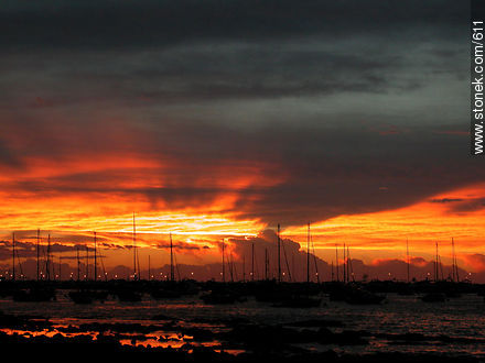  - Punta del Este y balnearios cercanos - URUGUAY. Foto No. 611