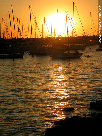  - Punta del Este and its near resorts - URUGUAY. Photo #652