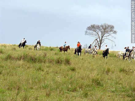  - Department of Florida - URUGUAY. Photo #11408